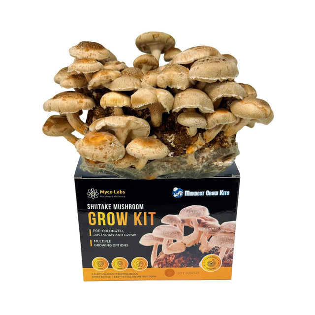 Mycolabs Shiitake Grow Kit