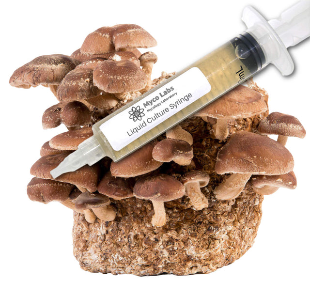 Shiitake Liquid Culture Syringe (10cc) 