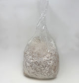 Clear plastic bag filled with a granular substance on a white background