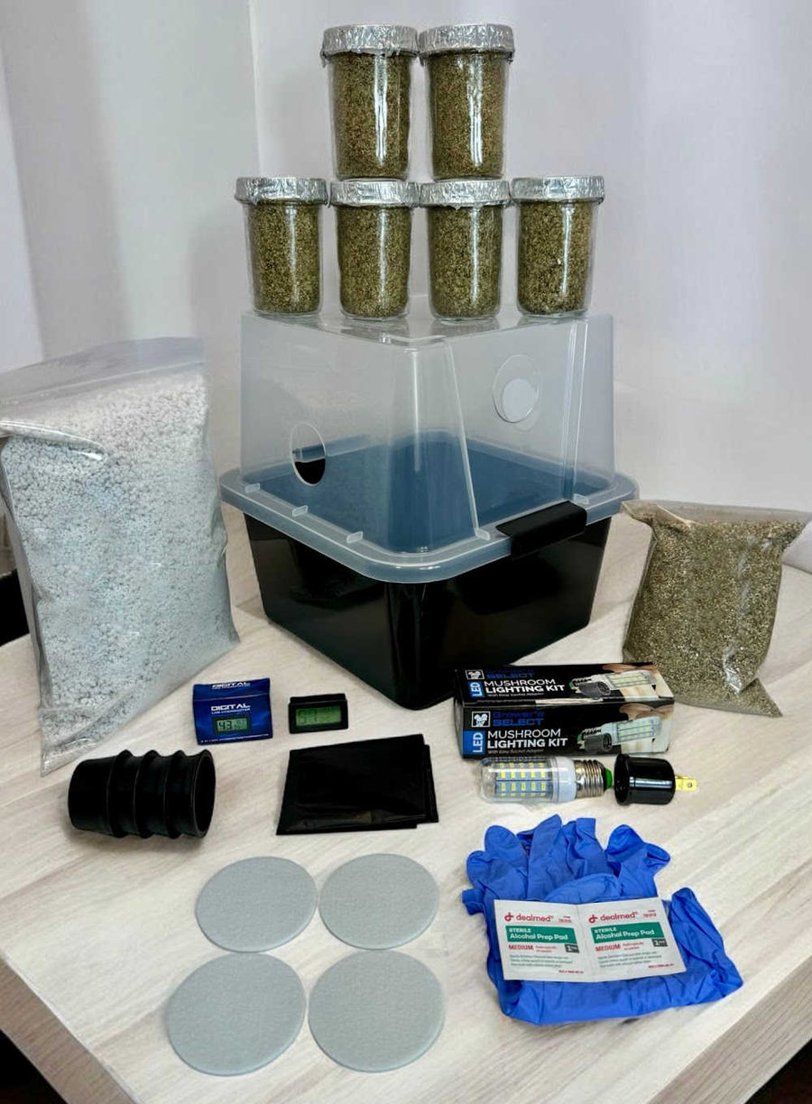 Grow Kits | Mushroom Fruiting Chambers | Midwest Grow Kits