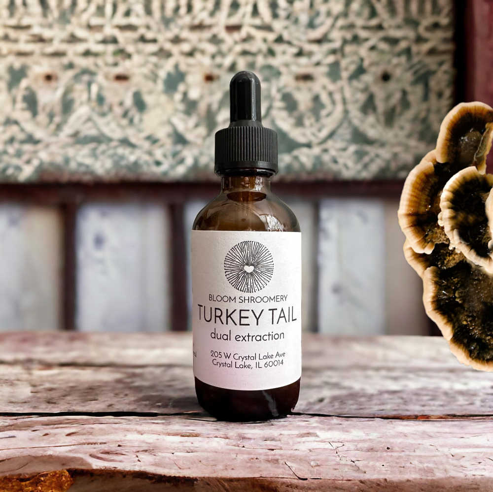 Turkey Tail Mushroom Tincture 
