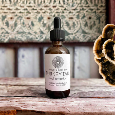 Turkey Tail Mushroom Tincture 