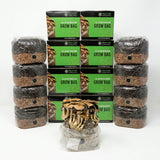 wholesale lot of 4lb all-in-one bags stacked. 