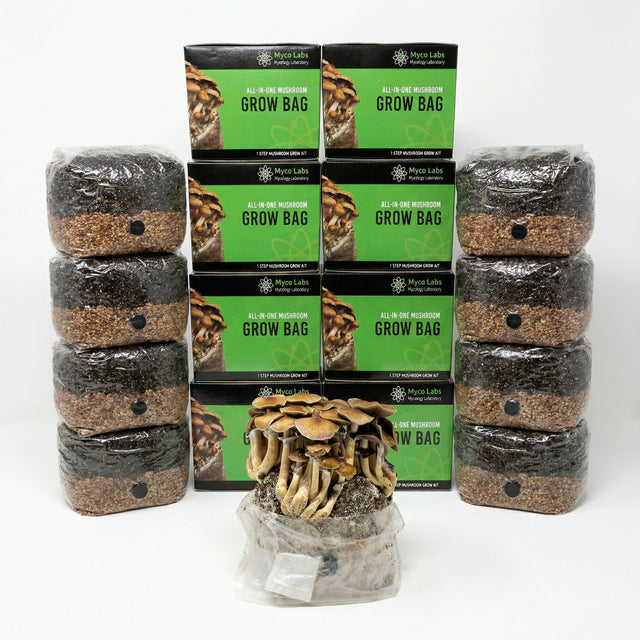 wholesale lot of 4lb all-in-one bags stacked. 