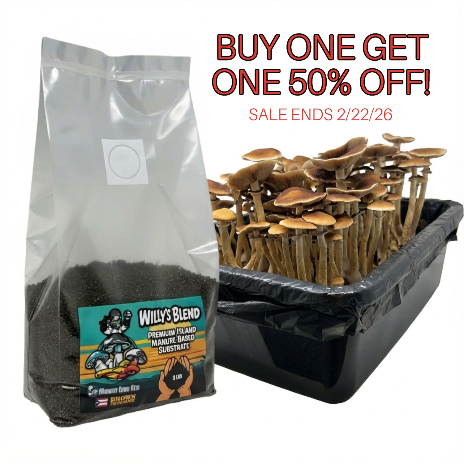 Willy's Blend - Willy Myco's Official Premium Imported Manure-Based Substrate - 5 lbs