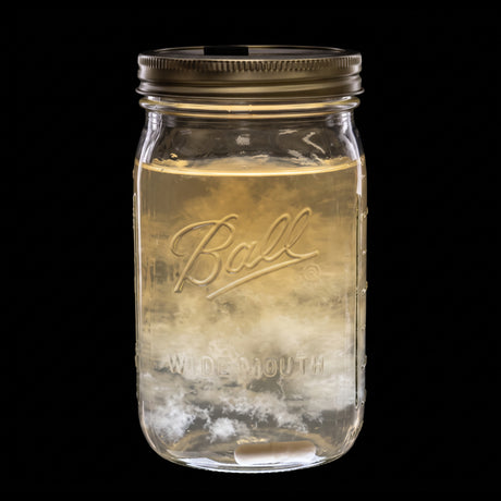 Jar of liquid culture with mycelium