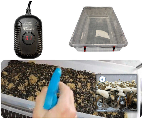 Complete XL Specialty Grass Lover's Bulk Spawn Growing & Casing Kit collage