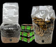 Wholesale All-in-One Mushroom Grow Bag (4 lbs) for Manure Loving Mushrooms (Case of 10) 