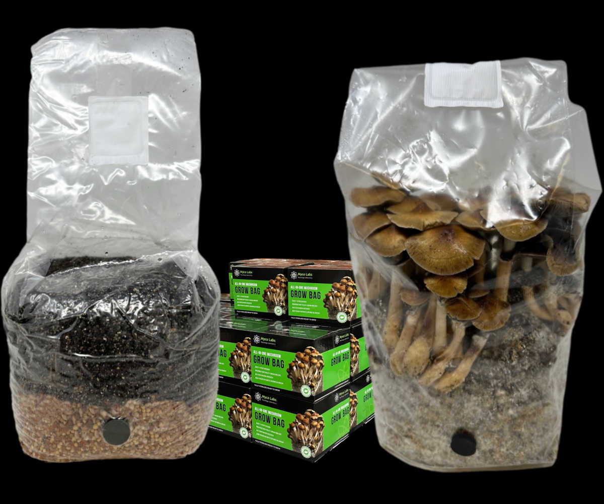 Wholesale All-in-One Mushroom Grow Bag (4 lbs) for Manure Loving Mushrooms (Case of 10) 