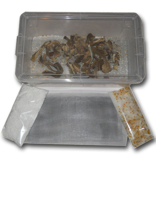Easy Mushroom Drying Kit 