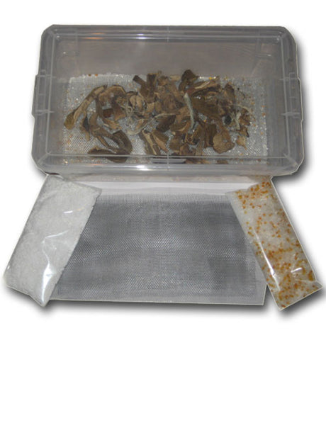 Easy Mushroom Drying Kit 