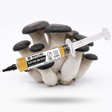 Myco Labs Black Pearl King Oyster liquid culture syringe, 10cc, with black pearl king oyster mushrooms behind it