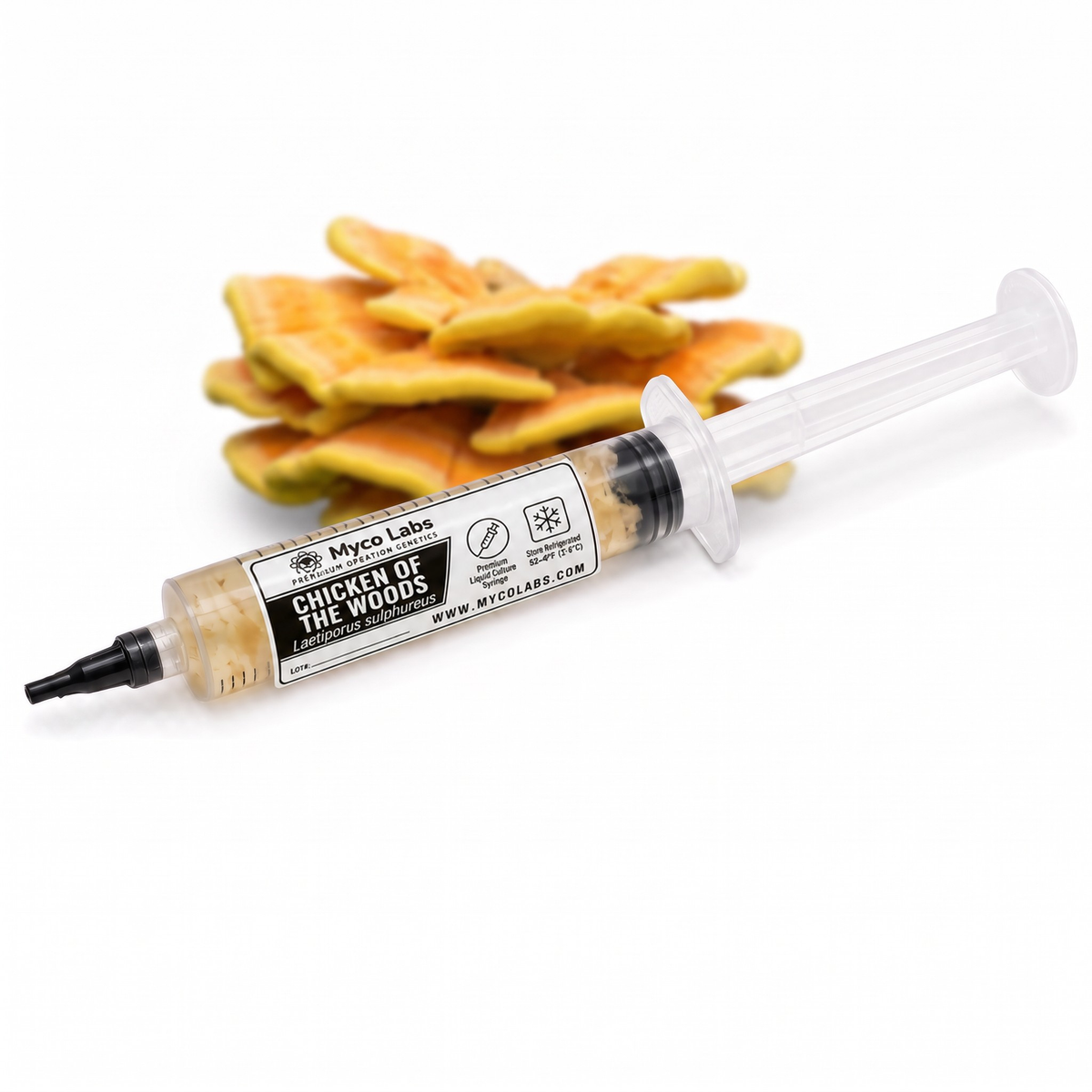Myco Labs Chicken of the Woods (Laetiporus sulphureus) liquid culture syringe, 10cc, with chicken of the woods brackets behind it