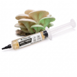 Myco Labs Ghost Fungus (Omphalotus nidiformis) liquid culture syringe, 10cc, with ghost fungus caps behind it
