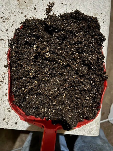 Premium Coir Brick (650g)