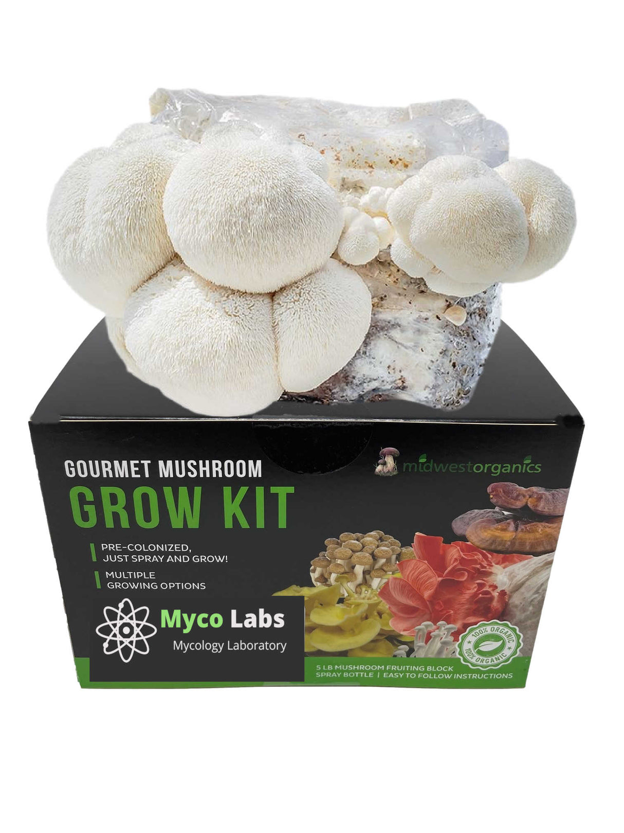  Lion's Mane Mushroom Grow Kit (5lbs)