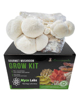  Lion's Mane Mushroom Grow Kit (5lbs)
