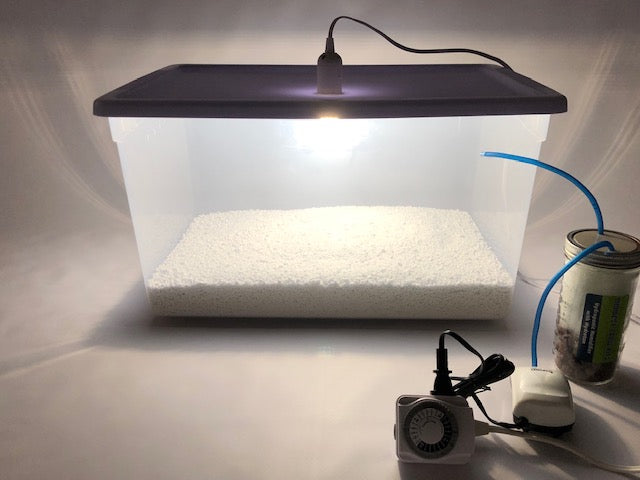 Grower's Select LED Mushroom Light Bulb MEGA