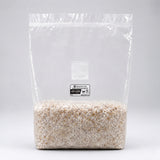 Lions mane grain spawn bag on white counter