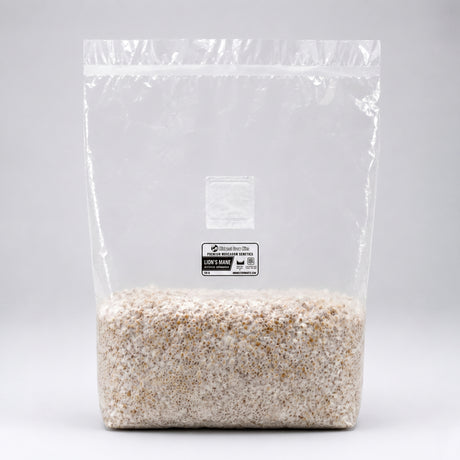 Lions mane grain spawn bag on white counter