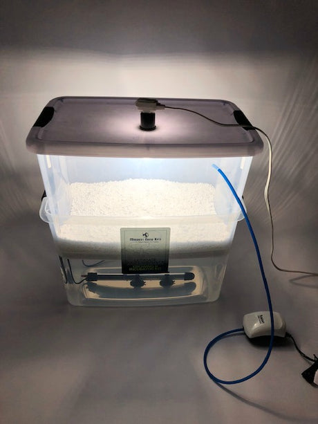 Deluxe Spawn Bag Growing and Casing Kit set up