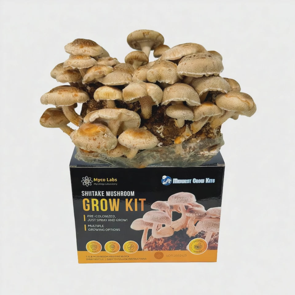 Shiitake Mushroom Grow Kit (5lbs)