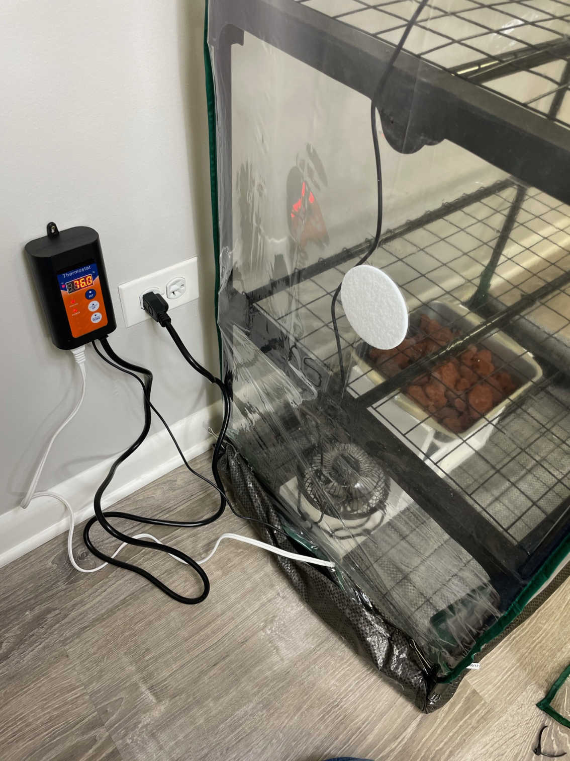 digital thermostat