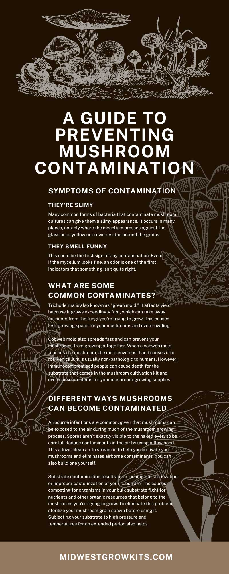 A Guide to Preventing Mushroom Contamination