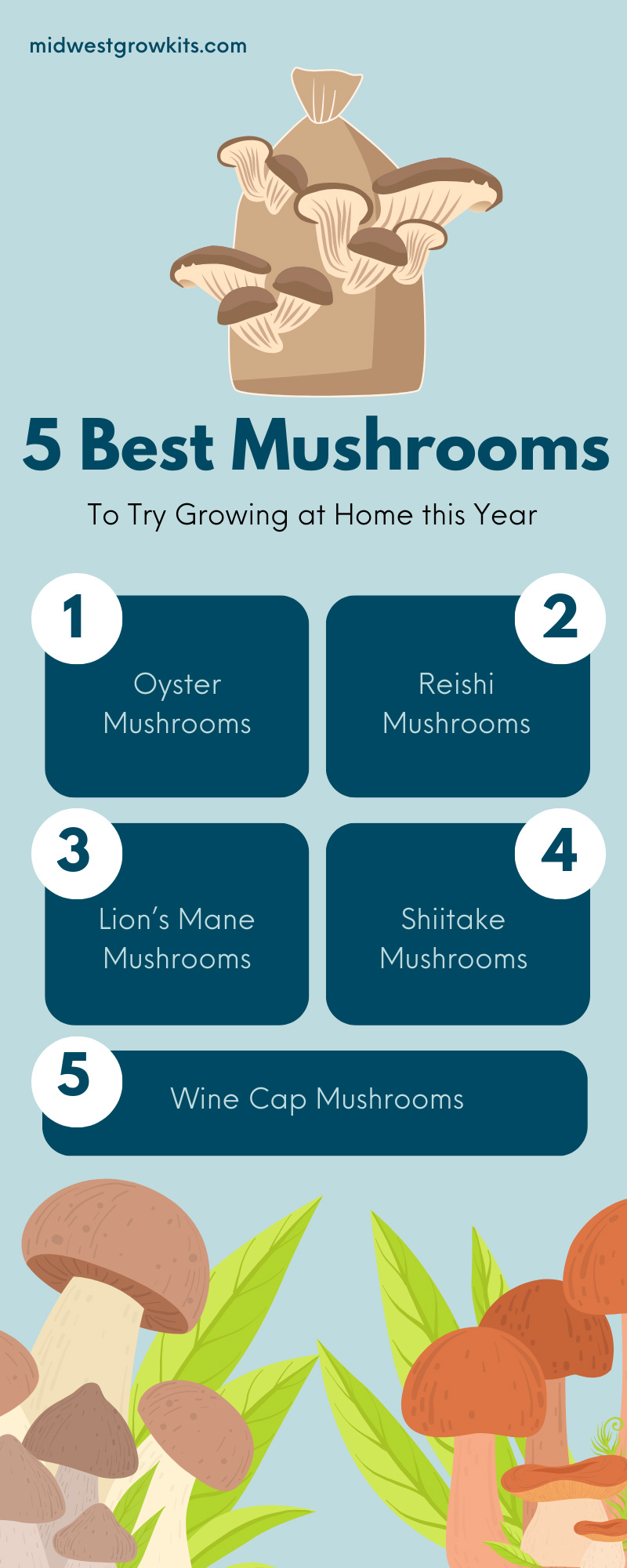 5 Best Mushrooms To Try Growing at Home this Year
