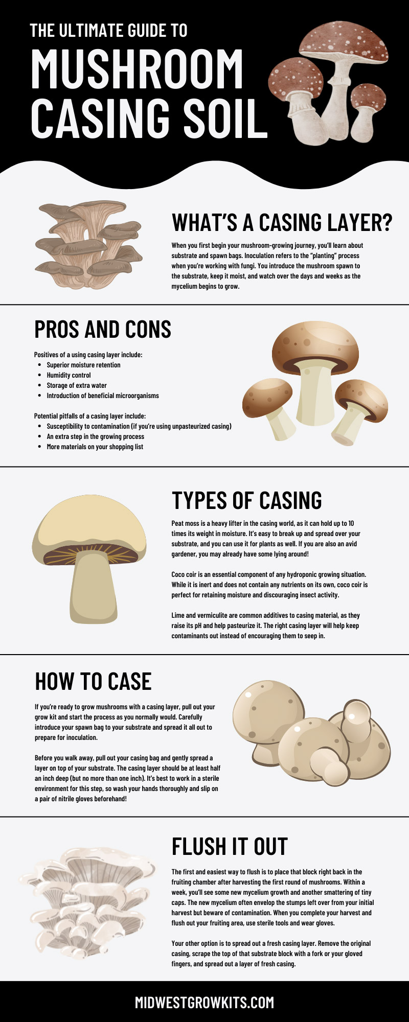 The Ultimate Guide to Mushroom Casing Soil
