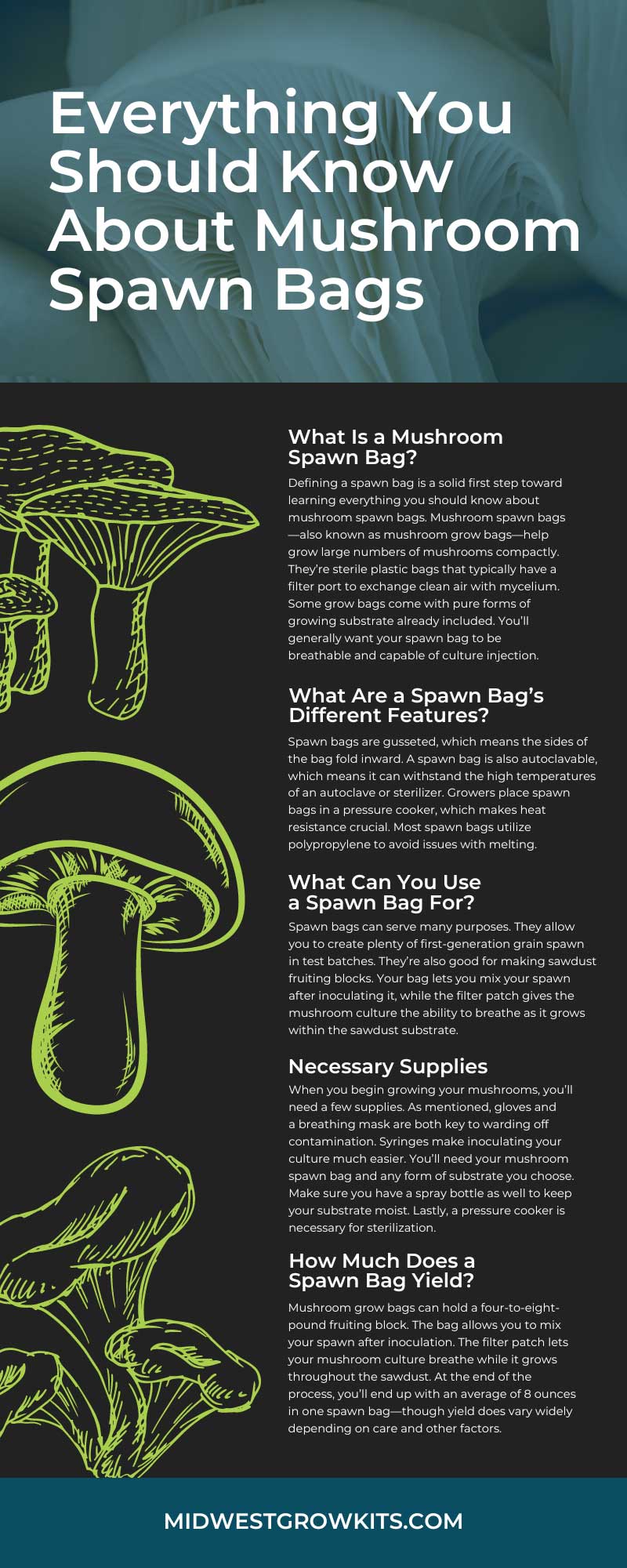 Mushroom Spawn Bags: Suppliers Shipping to Where You Are – Fungi Ally