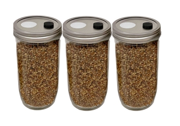 3-Pack Premium 24 Oz Super-Quick-Colonizing 5-grain Jar (24oz) Midwest Grow Kits, 3-Pack, 24oz, Super-Quick-Colonizing, 5-Grain Jars, tapered glass jars, lightning speed, fully colonized, record-breaking colonization time, 14-20 days, harvesting, mushrooms, mycelium, nutrient-enriched, organic rye berries, mineral water, gypsum, diammonium phosphate, optimal growing conditions, colonize quickly, filter disk, contaminants, self-healing injection port, easy inoculation, growing,