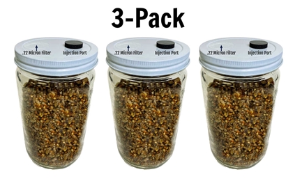 3-Pack Premium Quick-Colonizing 5-grain Jar (30oz)  spawn bags, 5grain, fast growing jars. Bulk casing substrate
