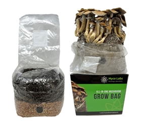 All-in-One Mushroom Grow Bag (4 lbs) for Manure Loving Mushrooms Cultivating mushrooms, large quantities, all-in-one grow bag, alternative cultivation methods, All-in-One Bags, minimal space, bountiful harvest, Easy and Convenient, High-Quality Ingredients, Sustainable, environmentally friendly, multiple harvests, fresh mushrooms,inject spores, liquid culture, colonization, substrate, Wild Horse Manure Booster, pressure sterilized, autoclave, .5 Micron filter bag, pre-sterilized mushroom growing kit, substrate, grain, filter Patch, home growers, mushroom spores, mycelium, warm and humid environment, mushroom species, fresh mushrooms, beginners,