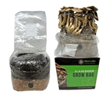 All-in-One Mushroom Grow Bag (4 lbs) for Manure Loving Mushrooms - ALL1