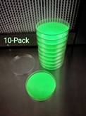 MycoGlo Luminescent Malt Extract Agar Plates (10-Pack) - AGL