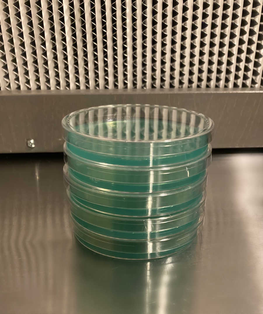 Pre-Poured Sterilized Agar Plates (5-Pack)