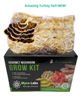 Ready to Grow Gourmet Mushroom Kit (5lbs)  Your Choice!  - RDY1
