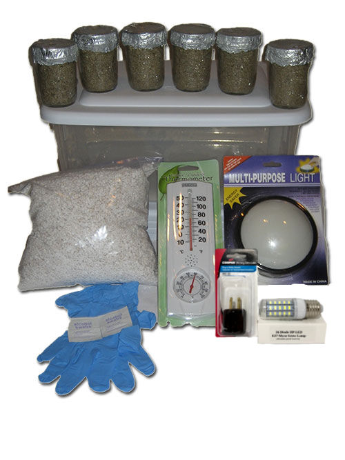 Example of what a mushroom grow kit can contain