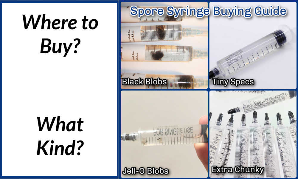 Spore Syringe Buying Guide: Common Issues, Vendors and more!