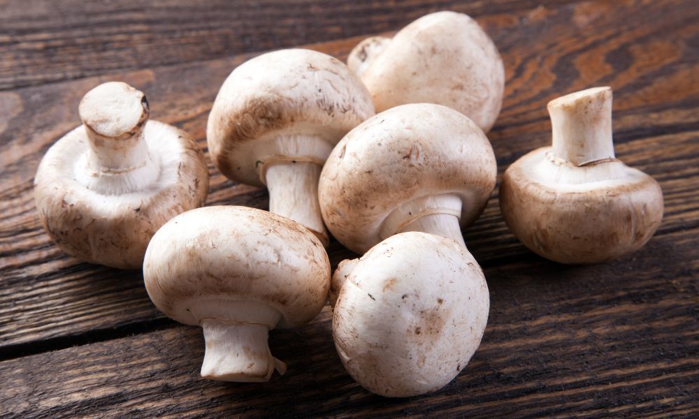 What Is Mushroom Fruiting and How Is It Triggered?