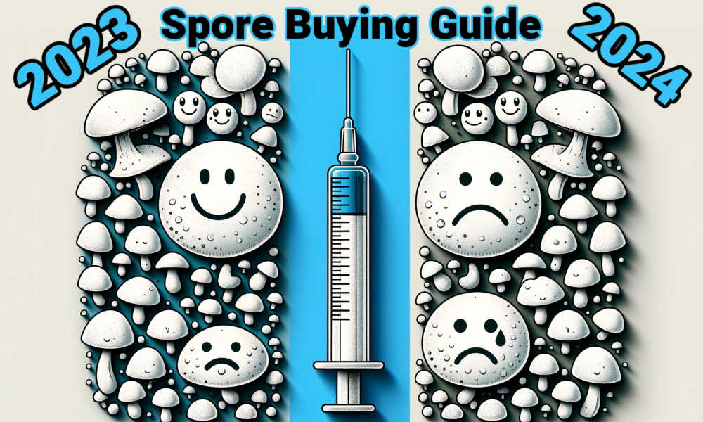 Spore Syringe Buying Guide: Common Issues, Vendors and more!