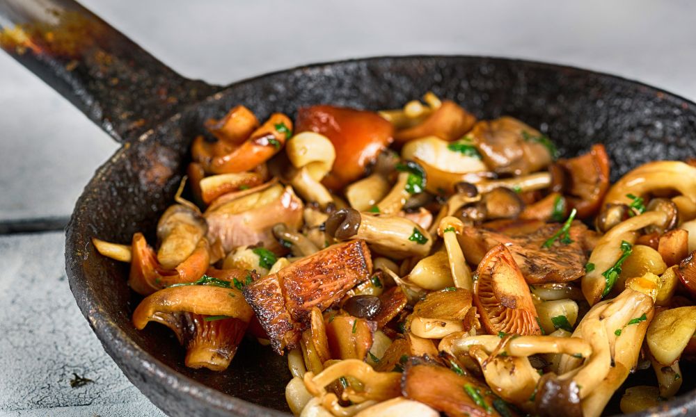 Top 5 Mushrooms That Are Good Meat Replacements